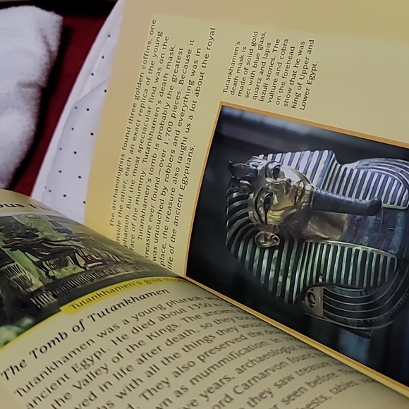 Hidden Treasure Educational Reader Booklet Edition - Picture 3 of 5